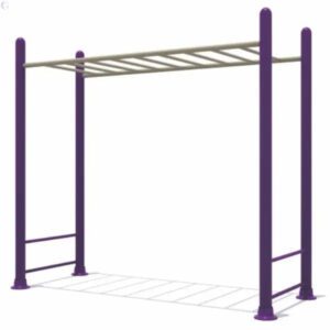 Sports Monkey Bar